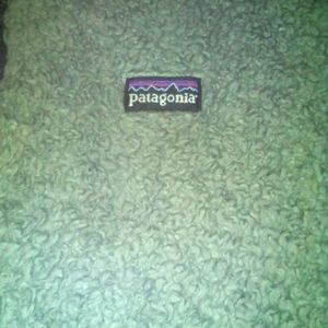 Patagonia vest